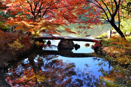 日本庭園 Images – Browse 89,684 Stock Photos, Vectors, and Video
