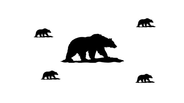 Zoom in and out animation the wild bear symbol. Large black symbol in the center and four small symbols around. Seamless looped 4k animation on white background