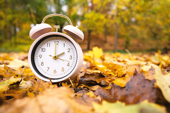 Winter time changeover, end of daylight saving time in autumn, alarm clock fall back switch, forest with colorful foliage