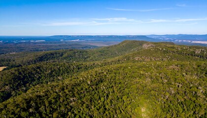 Breathtaking aerial perspective over a vast temperate forest landscape under a brilliant blue sky