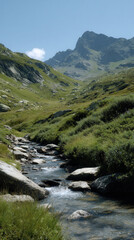 Mountain stream flowing through lush green valley with rocky terrain
