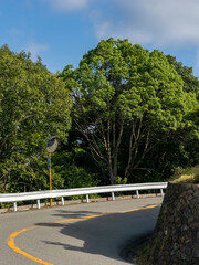真夏の五月山ドライブウェイの風景