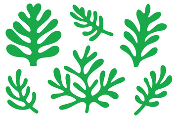 Six simple green seaweed fronds are scattered evenly on a solid white background