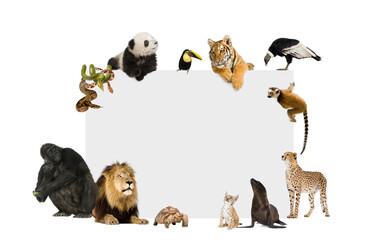 set of animals