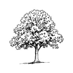 Elegant monochrome tree silhouette illustration with intricate linework and a timeless aesthetic