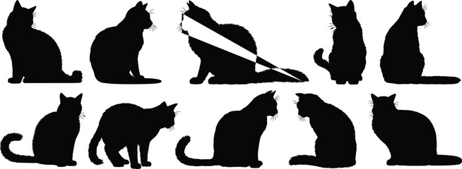 PrintSilhouette of cats in various poses, black feline vector illustration, pet animal graphic design, creative drawing, outline artwork © Afsana Creatives