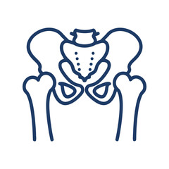 Human pelvis anatomy outline vector illustration hip bone structure medical graphic