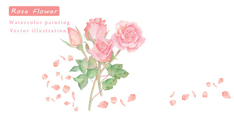 水彩で描いたバラのベクターフレームイラスト