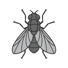 Realistic gray fly vector illustration insect pest winged bug macro detail isolated graphic