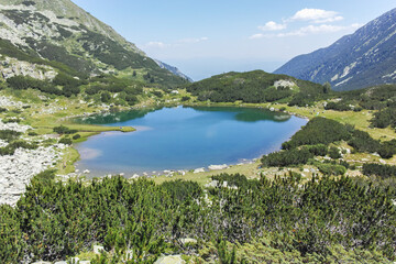 Fototapeta premium Landscape of Pirin Mountain near Banderitsa Area, Bulgaria