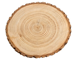 Obraz premium Cross section of a tree trunk showcases growth rings and natural wood grain texture detail