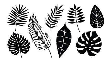 Art of collection of various tropical leaves and foliage in black and white.