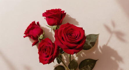 Romantic Red Roses A Close-Up of Elegant Blooms