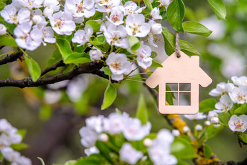 The symbol of the house among the branches of the pear
