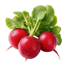 Three radishes with green leaves arranged together on a plain background isolated on transparent background