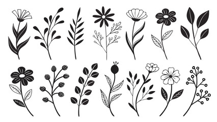 Black botanical floral elements leaves flowers