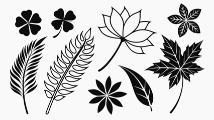 Black botanical leaf and flower silhouettes vector