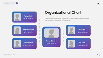 Organizational Chart Infographic