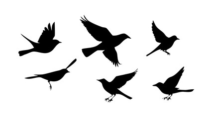 Flock of black birds in flight flying silhouette