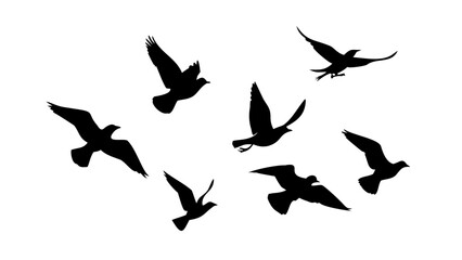 Flock of Crows in Flight birds flying