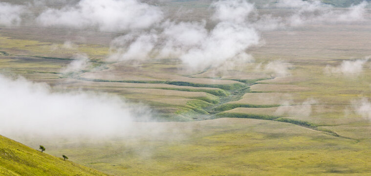 Rolling green hills and fields partially obscured by clouds. Castelluccio di Norcia, Pian Grande, Umbria, Marche, Italy. Two small trees dot the lower left hillside.
