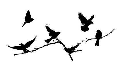 Minimalist Black Silhouette of a Woman's Face vector