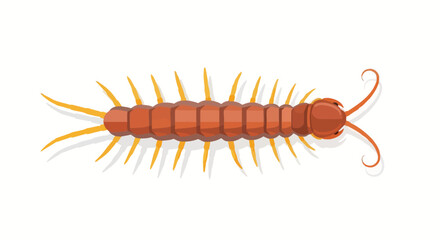 Obraz premium A captivating illustration of a centipede with detailed body segments and legs in striking color, presented on a clean white backdrop to catch the eye