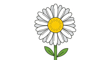 Delicate Daisy Illustration with Detailed Petals and Fresh Green Stem Depicting Simple Floral Beauty
