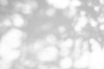 Abstract natural tree leaves shadow on white wall background