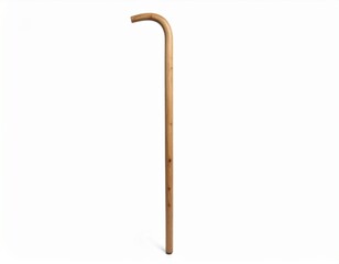 Wooden Staff Religious Illustration Sacred