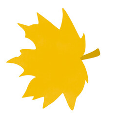 yellow maple leaf isolated