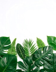 Tropical leaves border