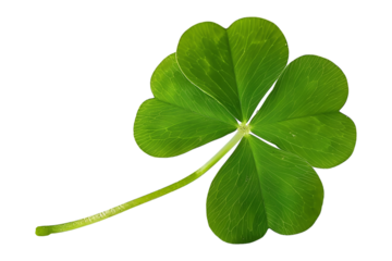 A vibrant green shamrock leaf with stem is isolated on a transparent background. This natural plant element is a detailed PNG image.