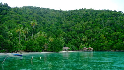 Tropical beach with lush palm trees, turquoise water and a traditional wooden house at a remote...