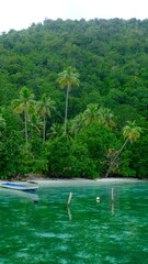 Tropical beach with lush palm trees, turquoise water and a boat at a remote island paradise.