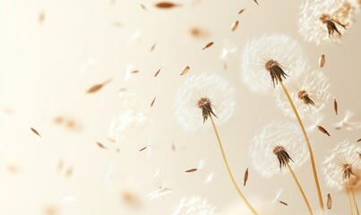 Dandelion fluff background in an aesthetic minimalism style, with beige, neutral, and pastel colors. The flying fluffs embody fragility, lightness, and natural beauty, ideal for serene, Generative AI
