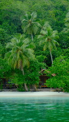 Tropical beach with lush palm trees, turquoise water and a traditional wooden house at a remote island paradise.