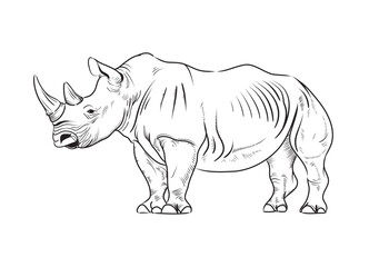 Obraz premium Line drawing of a rhinoceros. Black lines on a white background.