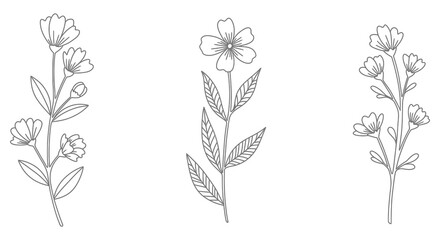 A set of three simple line drawings of flowers with leaves on white background silhouette