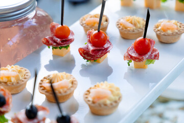 Canapes for a light meal on the festive table