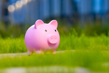 A pink piggy bank stands on the grass, symbolizing saving and accumulation. A bright sunny day...