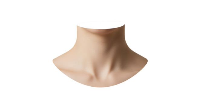 Close up of a womans neck isolated on transparent background, showcasing the smooth skin, clavicle, and throat, emphasizing beauty, health, and the human anatomy in a clean studio shot