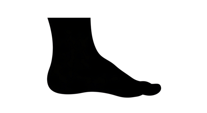Silhouette of a human foot isolated on transparent background, showcasing its anatomy, shape, and form for health, care, and design purposes