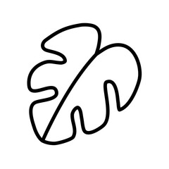 vector illustration of monstera plants