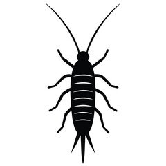 insect vector