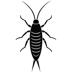 insect vector