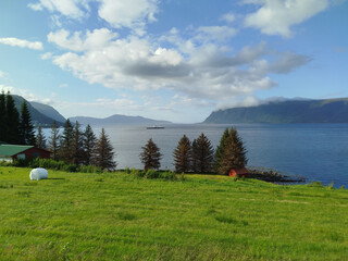 Fototapety na wymiar - Fototapeta24.pl