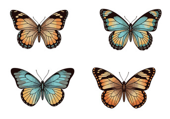 A collection of four beautifully detailed butterflies showcasing various wing patterns and vibrant color palettes