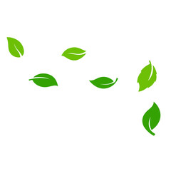 Green leaves scattered on a white background, creating a natural and fresh design.