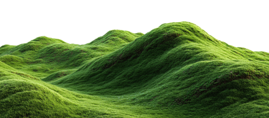Lush green grassy hills